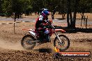 Champions Ride Day MotorX Broadford 23 11 2014 - SH8_2762