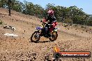 Champions Ride Day MotorX Broadford 23 11 2014 - SH8_2810
