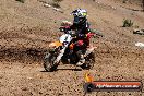 Champions Ride Day MotorX Broadford 23 11 2014 - SH8_2823