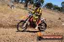 Champions Ride Day MotorX Broadford 23 11 2014 - SH8_2831