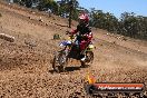Champions Ride Day MotorX Broadford 23 11 2014 - SH8_2879