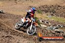 Champions Ride Day MotorX Broadford 23 11 2014 - SH8_2891