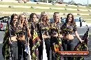 Outlaw Nitro Funny Cars Sydney dragway 29 11 2014 - 20141129-JC-SD-ONFC-110