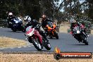 Champions Ride Day Broadford 14 12 2014 - TH0_3949