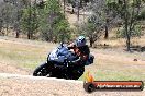 Champions Ride Day Broadford 1 of 2 parts 17 01 2015 - CR0_9518
