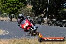 Champions Ride Day Broadford 24 01 2015 - CR1_4837