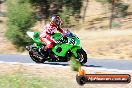 Champions Ride Day Broadford 2 of 2 parts 17 01 2015 - CR0_4838