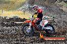 Champions Ride Day MotorX Broadford 25 01 2015 - DSC_0030