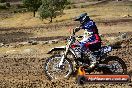 Champions Ride Day MotorX Broadford 25 01 2015 - DSC_0114