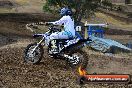 Champions Ride Day MotorX Broadford 25 01 2015 - DSC_0122