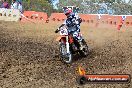 Champions Ride Day MotorX Broadford 25 01 2015 - DSC_0234