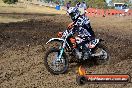 Champions Ride Day MotorX Broadford 25 01 2015 - DSC_0259