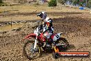 Champions Ride Day MotorX Broadford 25 01 2015 - DSC_0264