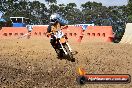 Champions Ride Day MotorX Broadford 25 01 2015 - DSC_0273