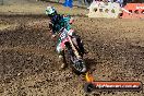 Champions Ride Day MotorX Broadford 25 01 2015 - DSC_0304