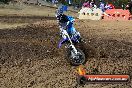 Champions Ride Day MotorX Broadford 25 01 2015 - DSC_0314
