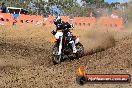 Champions Ride Day MotorX Broadford 25 01 2015 - DSC_0382