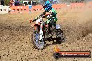 Champions Ride Day MotorX Broadford 25 01 2015 - DSC_0427