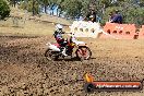 Champions Ride Day MotorX Broadford 25 01 2015 - DSC_0459