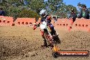 Champions Ride Day MotorX Broadford 25 01 2015 - DSC_0462