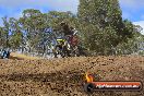 Champions Ride Day MotorX Broadford 25 01 2015 - DSC_0549