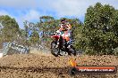 Champions Ride Day MotorX Broadford 25 01 2015 - DSC_0577