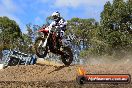 Champions Ride Day MotorX Broadford 25 01 2015 - DSC_0619