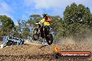 Champions Ride Day MotorX Broadford 25 01 2015 - DSC_0622