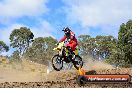 Champions Ride Day MotorX Broadford 25 01 2015 - DSC_0634