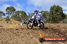 Champions Ride Day MotorX Broadford 25 01 2015 - DSC_0641