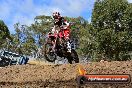 Champions Ride Day MotorX Broadford 25 01 2015 - DSC_0658