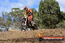 Champions Ride Day MotorX Broadford 25 01 2015 - DSC_0666