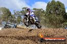 Champions Ride Day MotorX Broadford 25 01 2015 - DSC_0720