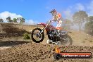 Champions Ride Day MotorX Broadford 25 01 2015 - DSC_0739