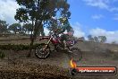 Champions Ride Day MotorX Broadford 25 01 2015 - DSC_1156