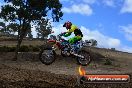 Champions Ride Day MotorX Broadford 25 01 2015 - DSC_1222