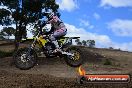 Champions Ride Day MotorX Broadford 25 01 2015 - DSC_1236