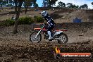 Champions Ride Day MotorX Broadford 25 01 2015 - DSC_1344