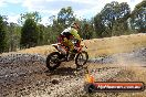 Champions Ride Day MotorX Broadford 25 01 2015 - DSC_1472