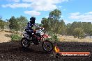 Champions Ride Day MotorX Broadford 25 01 2015 - DSC_1531