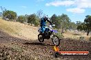 Champions Ride Day MotorX Broadford 25 01 2015 - DSC_1540