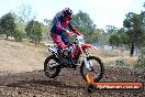 Champions Ride Day MotorX Broadford 25 01 2015 - DSC_1566