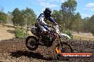 Champions Ride Day MotorX Broadford 25 01 2015 - DSC_1627