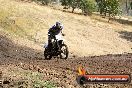 Champions Ride Day MotorX Broadford 25 01 2015 - DSC_1656