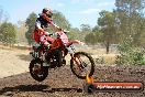 Champions Ride Day MotorX Broadford 25 01 2015 - DSC_1687