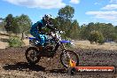 Champions Ride Day MotorX Broadford 25 01 2015 - DSC_1816
