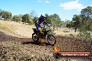 Champions Ride Day MotorX Broadford 25 01 2015 - DSC_2045