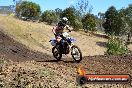Champions Ride Day MotorX Broadford 25 01 2015 - DSC_2062