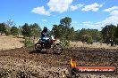 Champions Ride Day MotorX Broadford 25 01 2015 - DSC_2270