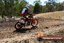 Champions Ride Day MotorX Broadford 25 01 2015 - DSC_2369